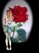 avpic