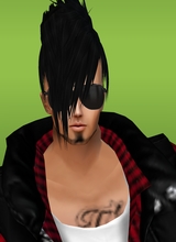 avpic
