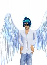 avpic