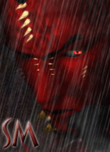 ShadowedMemory