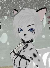 avpic
