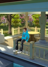 avpic