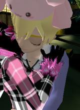 avpic
