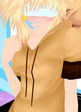 avpic