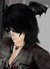 TheBleackVampire