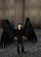 avpic