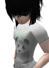 chocoboi2