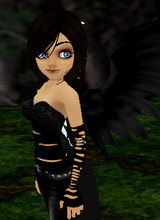 avpic