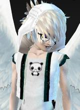 avpic