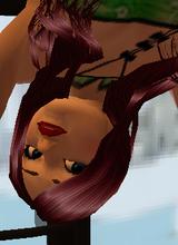 avpic