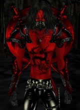 avpic