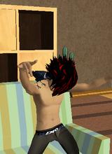 avpic