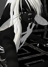 OBibSii