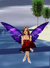 Guest_CONTESSIA