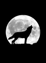 Avatar pic