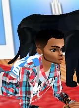 avpic
