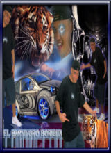 BoricuaDesigns