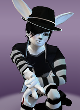 avpic
