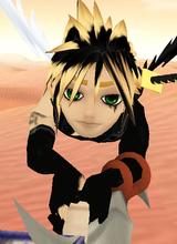 avpic