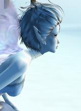 schylla