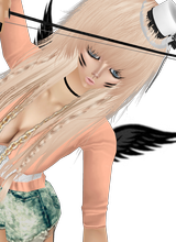 avpic