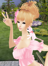 avpic