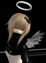 avpic