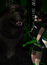 avpic