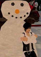 avpic