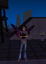 avpic