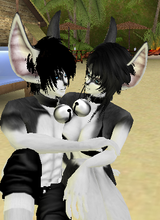 avpic