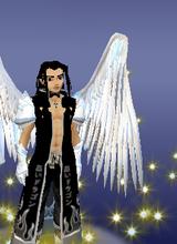avpic