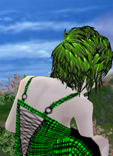 avpic