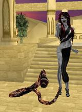 avatar picture