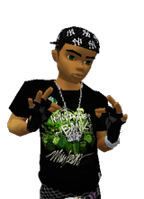avpic