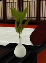 Guest_f0xoo7