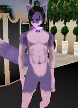 avpic