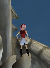 avpic