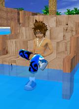 avpic