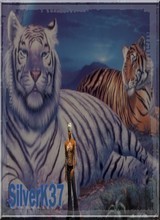 Avatar pic