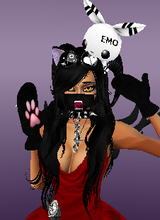 avpic