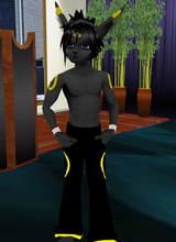 avpic