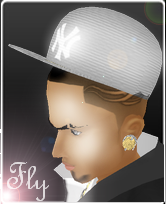 FlyStatus