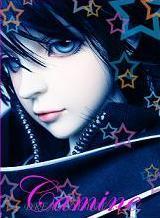 avpic