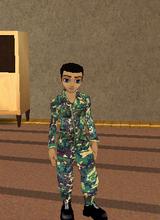 avpic