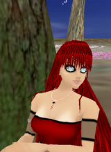 avpic