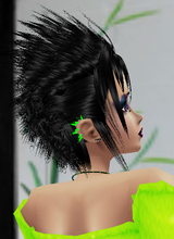 avpic