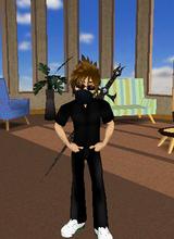 avpic