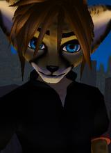 avpic