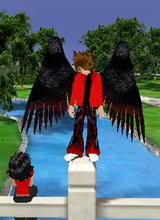avpic